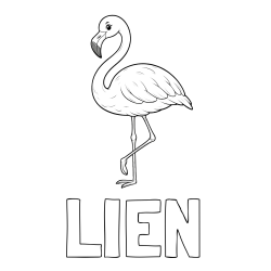 Online izdelana pobarvanka - Pobarvanka imena LIEN in pobarvanka flaminga