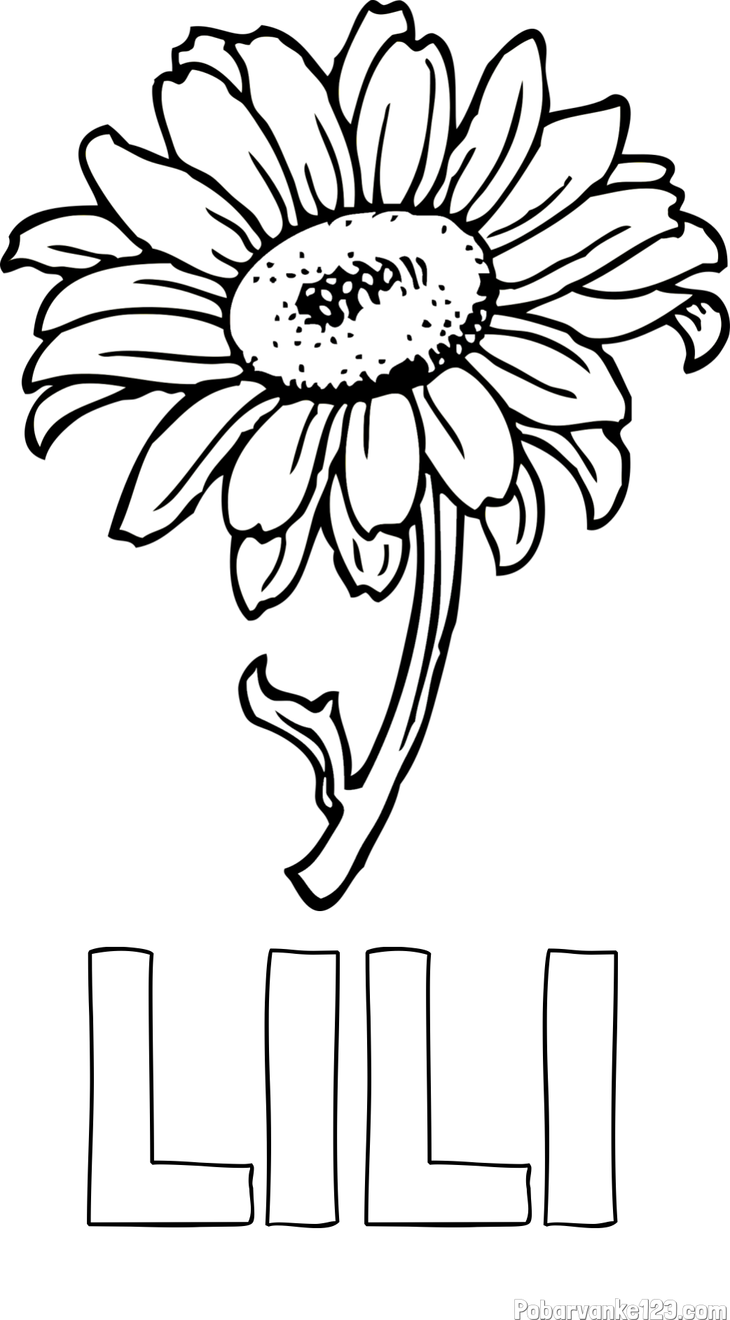 Pobarvanka imena LILI in pobarvanka lepe sončnice