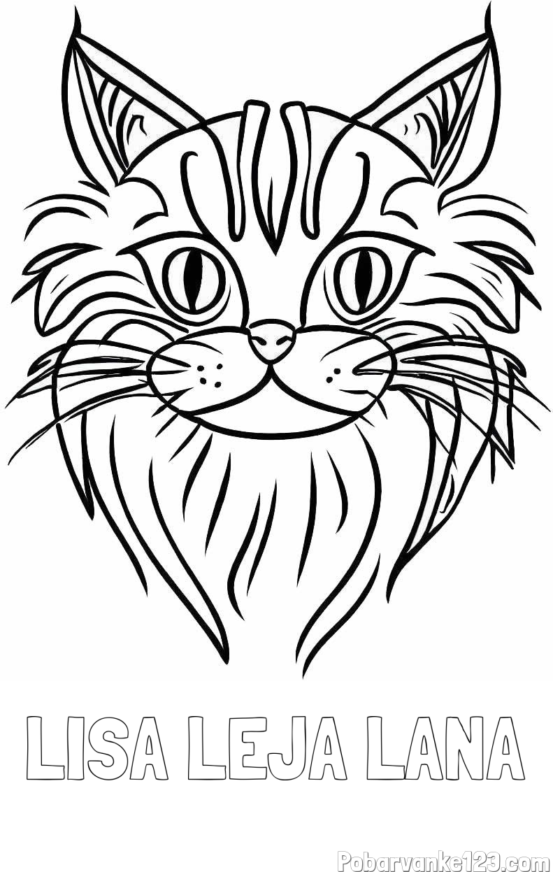 Pobarvanka imena LISA LEJA LANA in pobarvanka mačje glave
