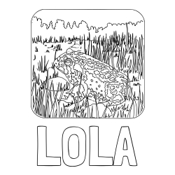 Online izdelana pobarvanka - Pobarvanka imena LOLA in pobarvanka žabe