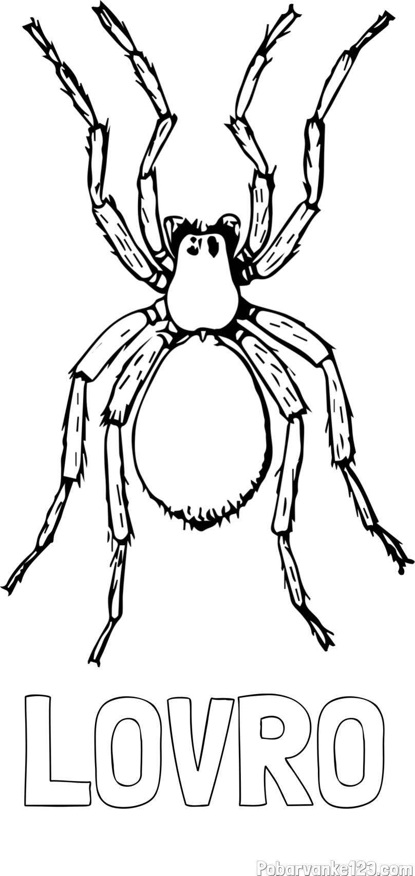 Pobarvanka imena LOVRO in pobarvanka pajka - TARANTELA