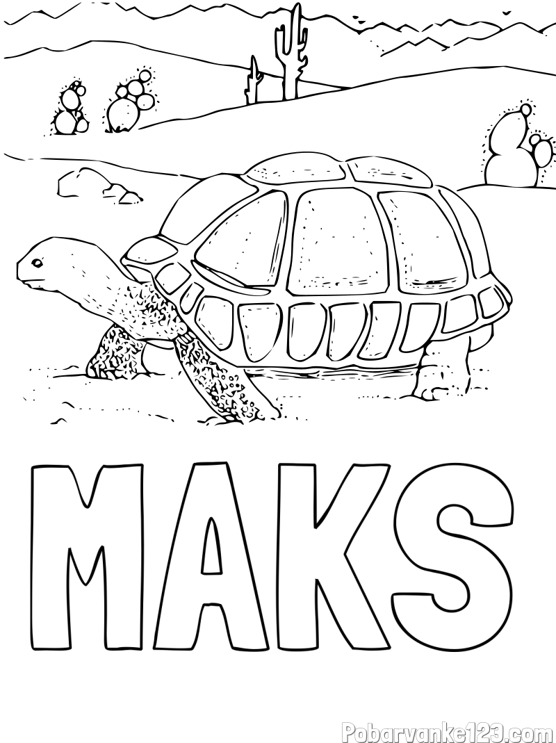Pobarvanka imena MAKS in pobarvanka želve