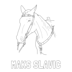 Online izdelana pobarvanka - Pobarvanka imena MAKS SLAVIČ in pobarvanka konjske glave
