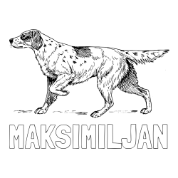 Online izdelana pobarvanka - Pobarvanka imena MAKSIMILJAN in pobarvanka lovskega psa na lovu