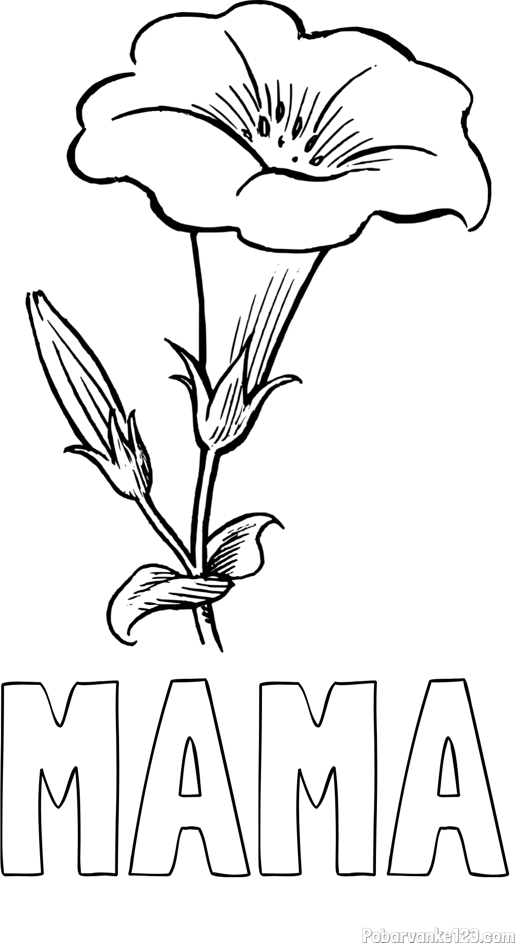 Pobarvanka imena MAMA in pobarvanka rože Gamopetalous