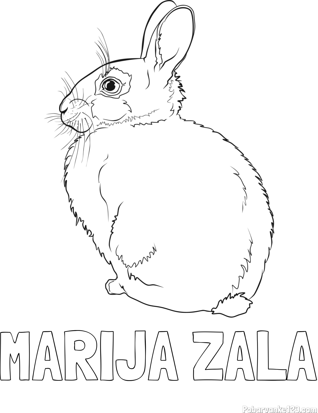 Pobarvanka imena MARIJA ZALA in pobarvanka debelega zajca