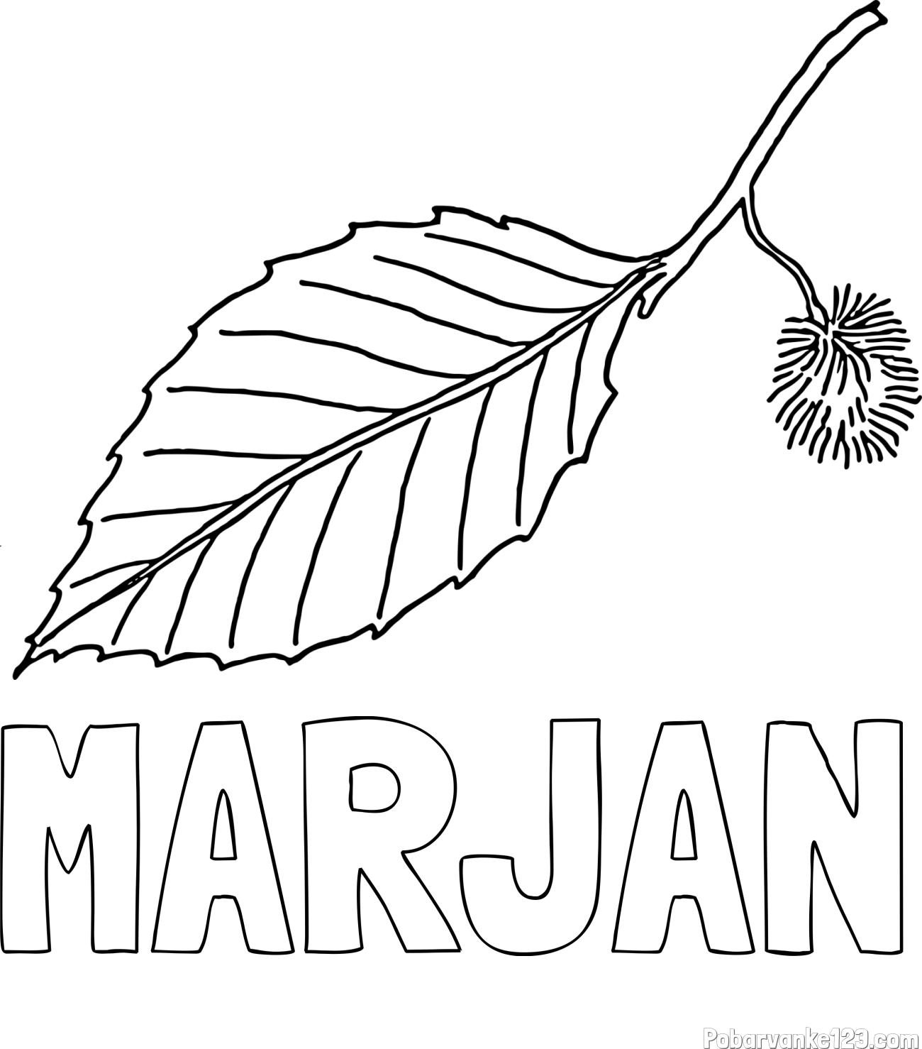 Pobarvanka imena MARJAN in pobarvanka kostanja