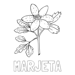 Online izdelana pobarvanka - Pobarvanka imena MARJETA in pobarvanka marjetice