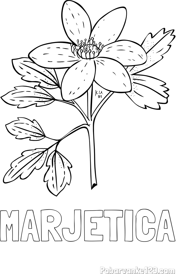 Pobarvanka imena MARJETICA in pobarvanka marjetice