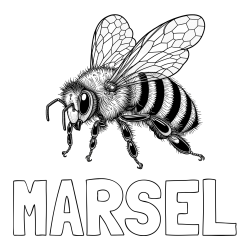 Online izdelana pobarvanka - Pobarvanka imena MARSEL in pobarvanka lepe in realistično oblikovane čebele