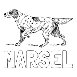 Online izdelana pobarvanka - Pobarvanka imena MARSEL in pobarvanka lovskega psa na lovu