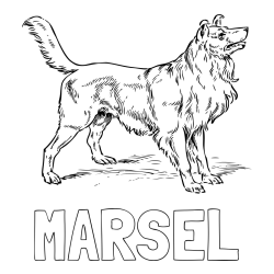 Online izdelana pobarvanka - Pobarvanka imena MARSEL in pobarvanka prikupnega in prijaznega kužka