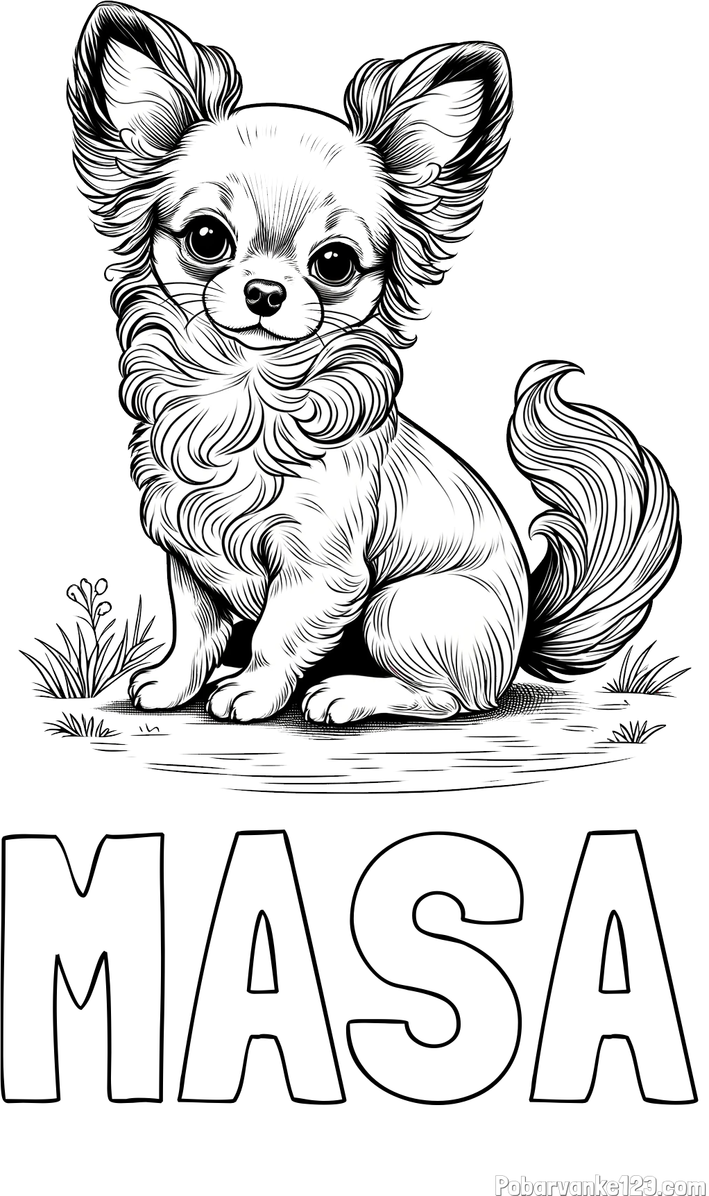 Pobarvanka imena MAŠA in pobarvanka ljubke čivave