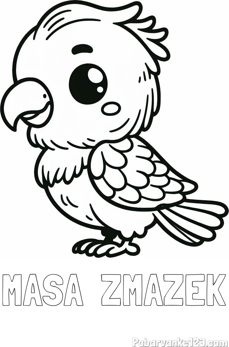 Pobarvanka imena MASA  ZMAZEK in pobarvanka ljubkega papagaja