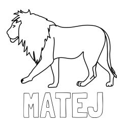 Pobarvanka imena MATEJ
