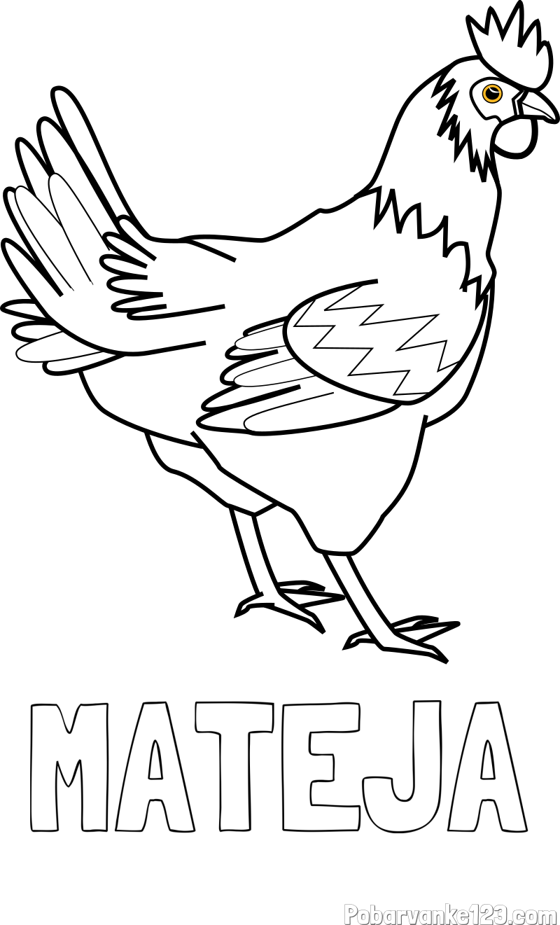 Pobarvanka imena MATEJA in pobarvanka kokoške