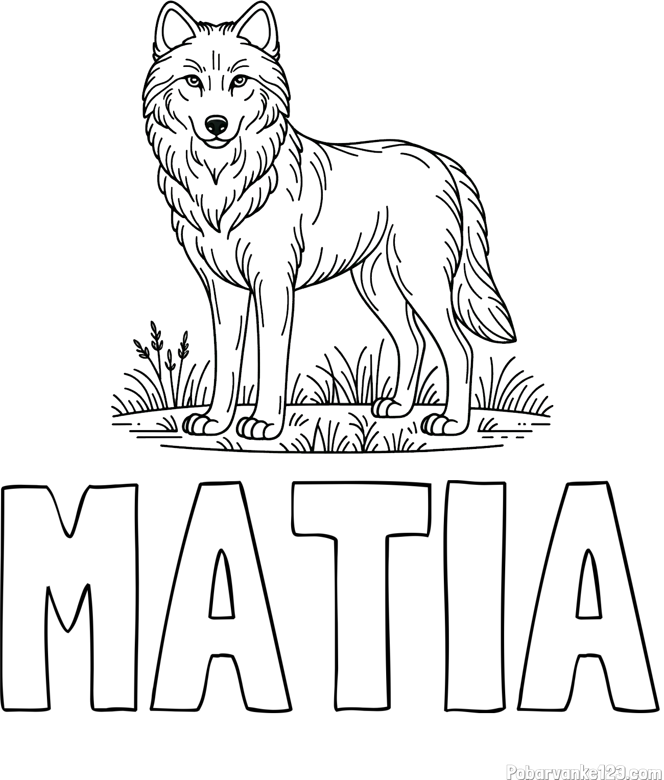 Pobarvanka imena MATIA in pobarvanka volka