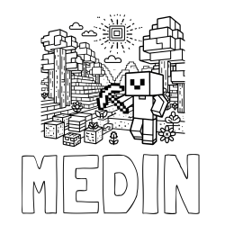 Online izdelana pobarvanka - Pobarvanka imena MEDIN in pobarvanka Minecraft sveta