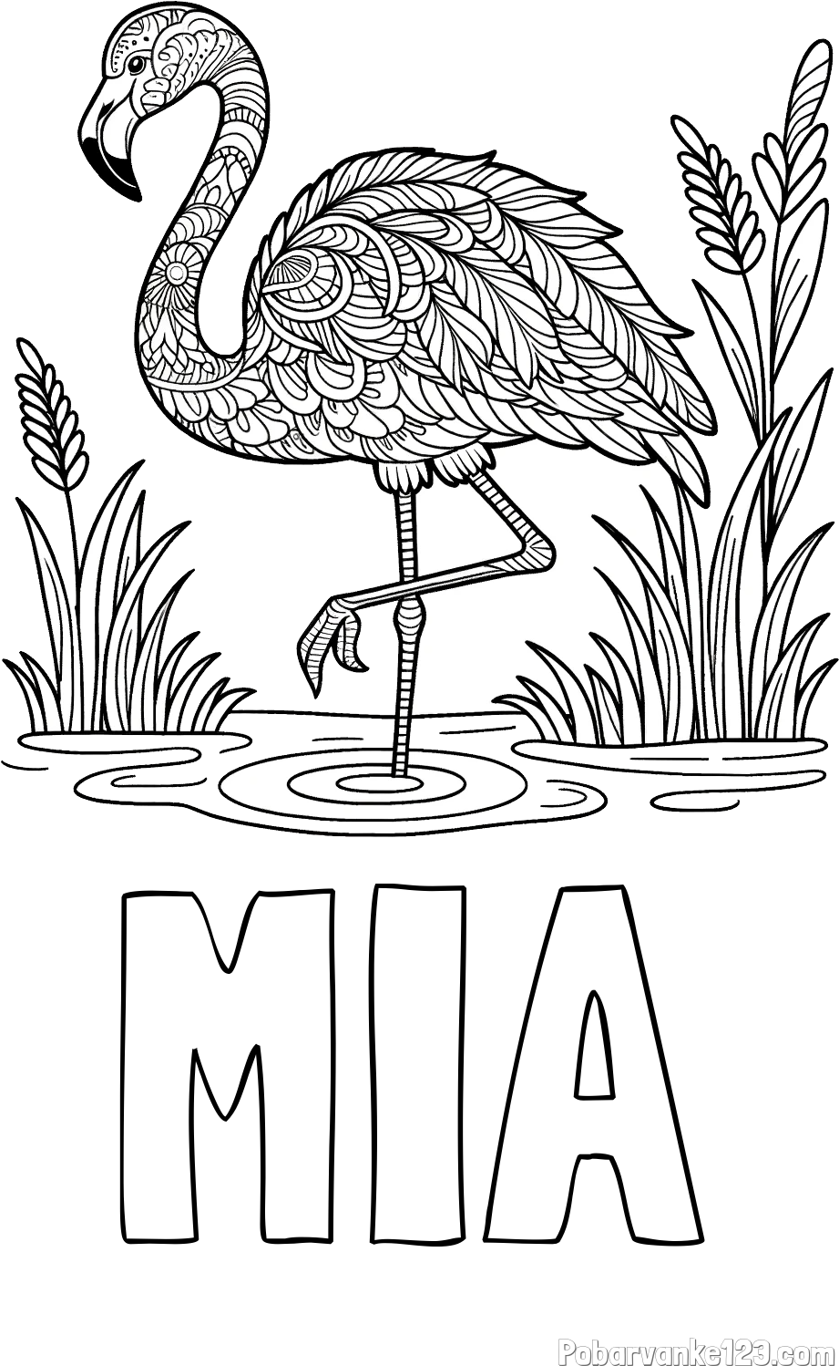 Pobarvanka imena MIA in pobarvanka flaminga z abstraktnimi vzorci