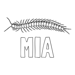 Online izdelana pobarvanka - Pobarvanka imena MIA in pobarvanka stonoge