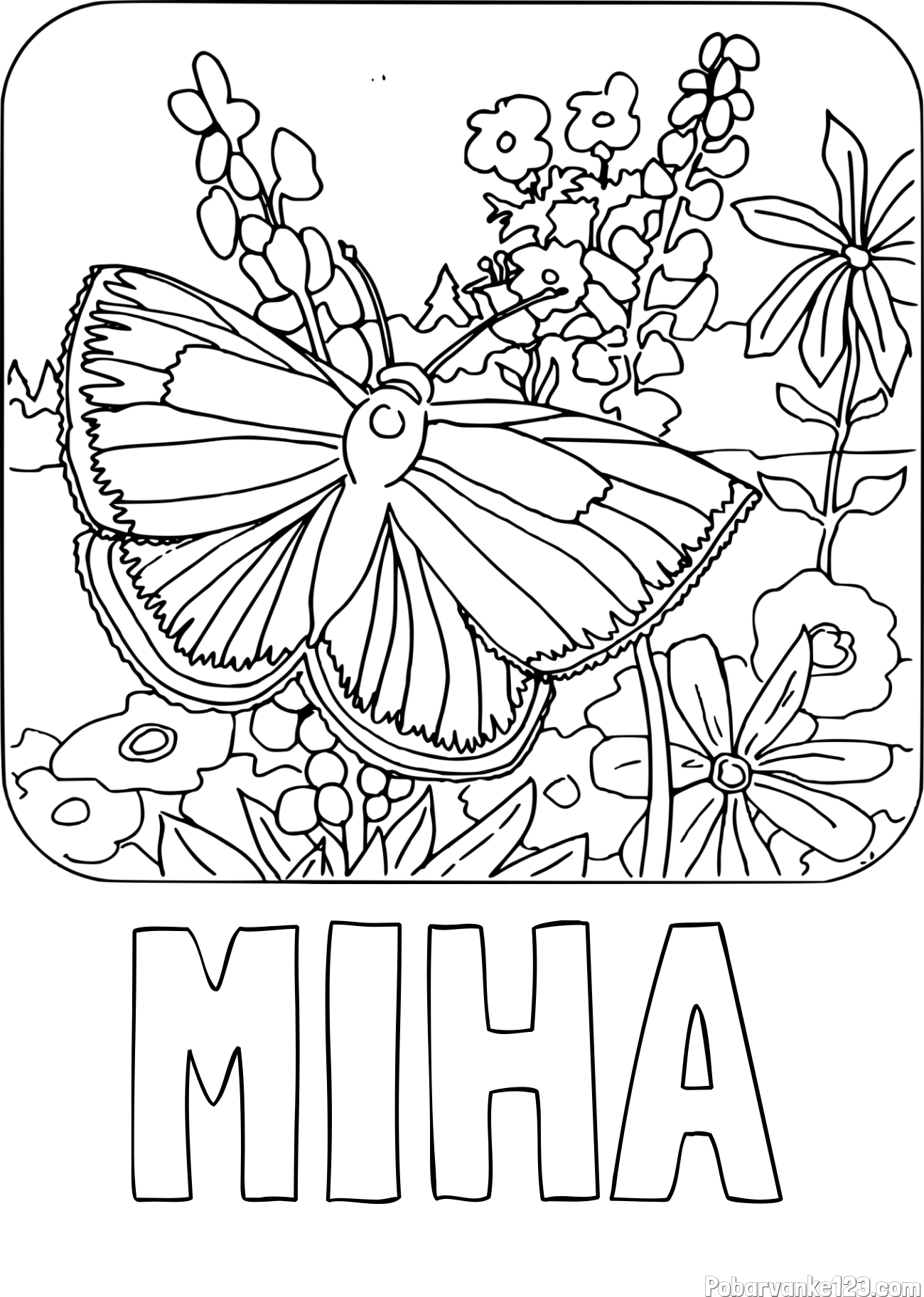 Pobarvanka imena MIHA in pobarvanka metulja v naravi