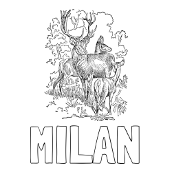 Online izdelana pobarvanka - Pobarvanka imena MILAN in pobarvanka jelena, srne ter mladička