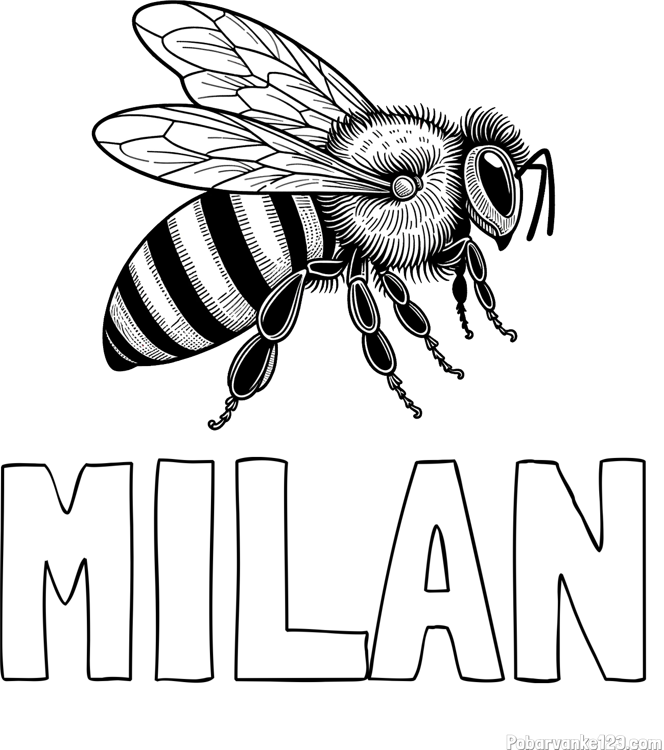 Pobarvanka imena MILAN in pobarvanka realistične čebele