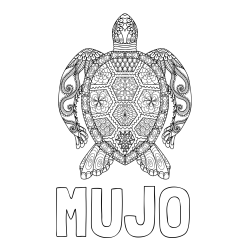 Online izdelana pobarvanka - Pobarvanka imena MUJO in pobarvanka želve - mandale