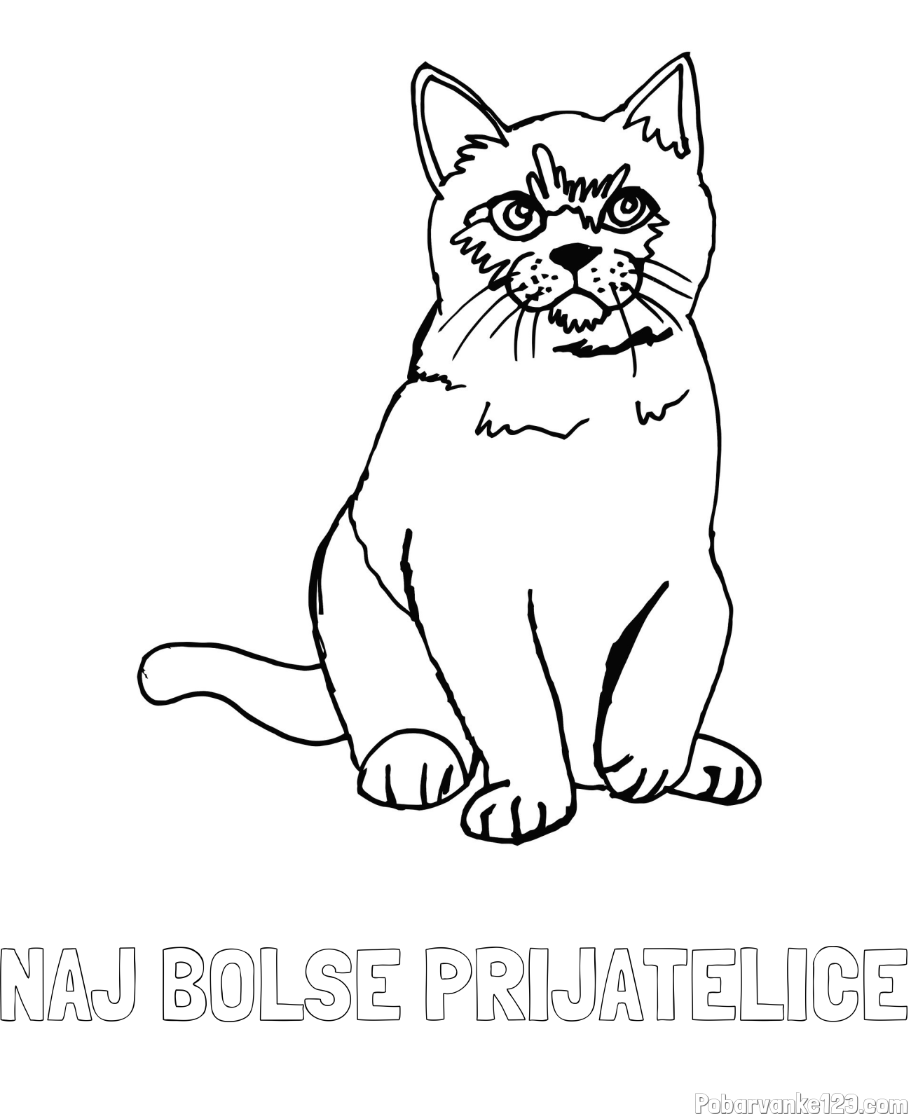 Pobarvanka imena NAJ BOLŠE PRIJATELICE in pobarvanka lepe mucke