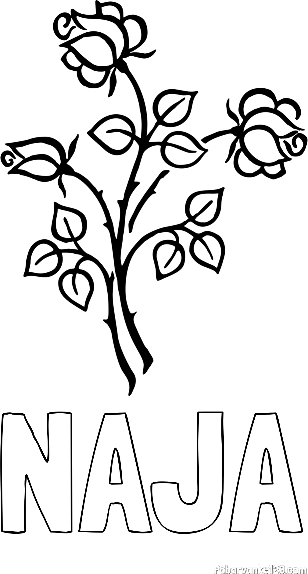 Pobarvanka imena NAJA in pobarvanka vrtnic s trnji in listi