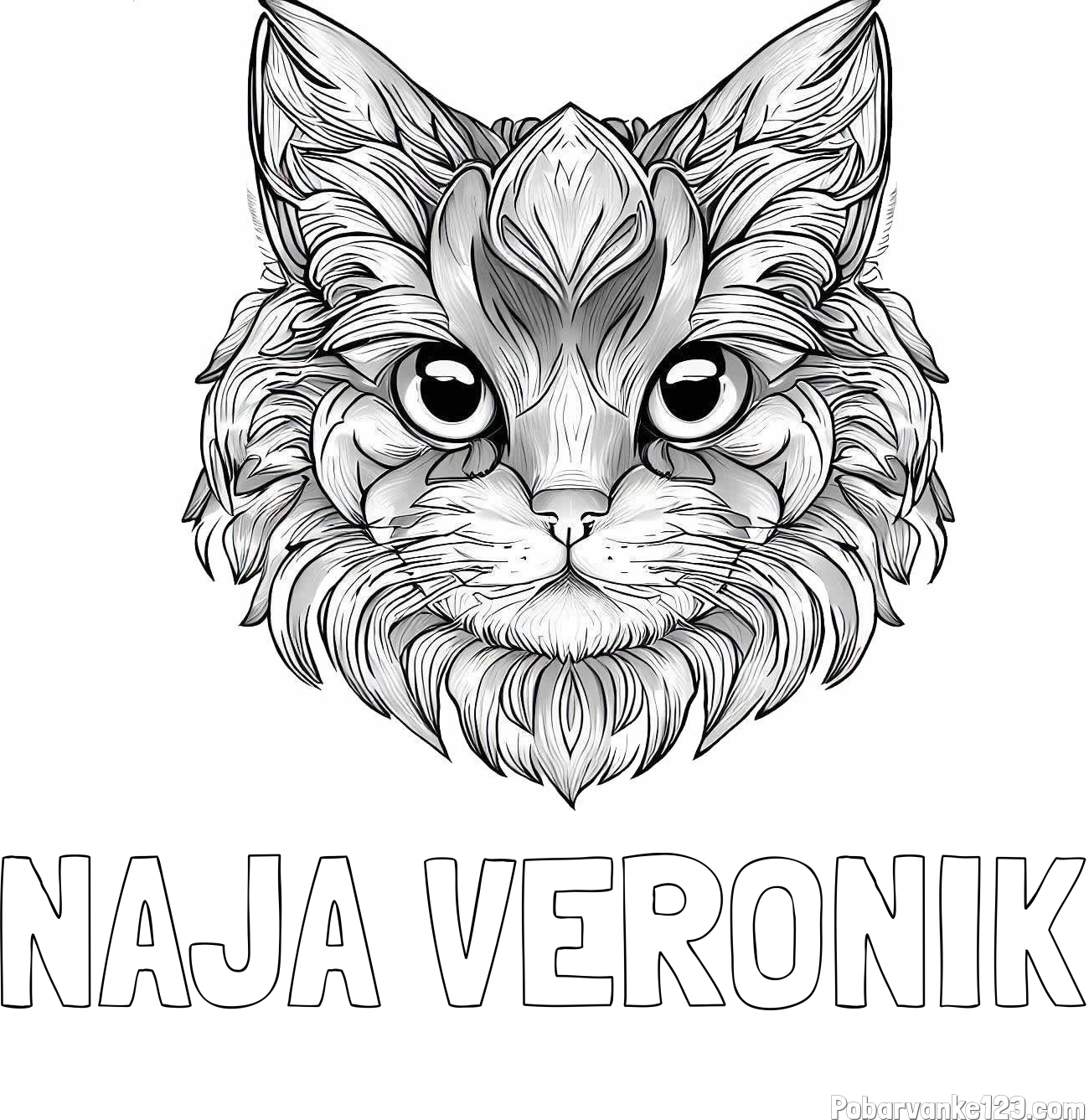 Pobarvanka imena NAJA VERONIK in pobarvanka mačke