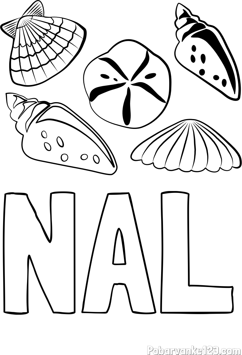 Pobarvanka imena NAL in pobarvanka različnih školjk