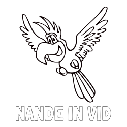 Online izdelana pobarvanka - Pobarvanka imena NANDE IN VID in pobarvanka papagaja v letu