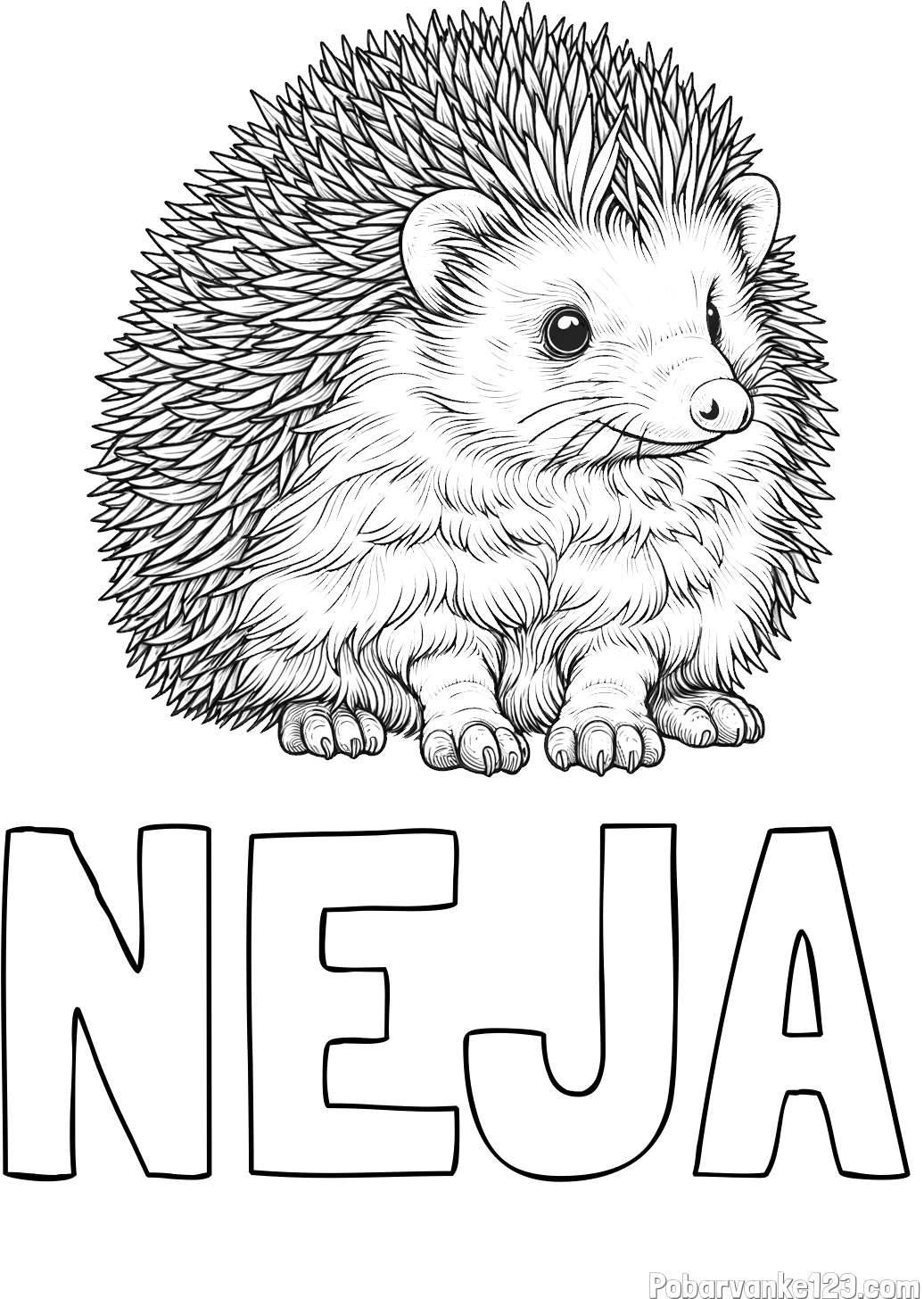 Pobarvanka imena NEJA in pobarvanka nasmejanega ježa