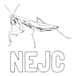 Online izdelana pobarvanka - Pobarvanka imena NEJC in pobarvanka bogomolke