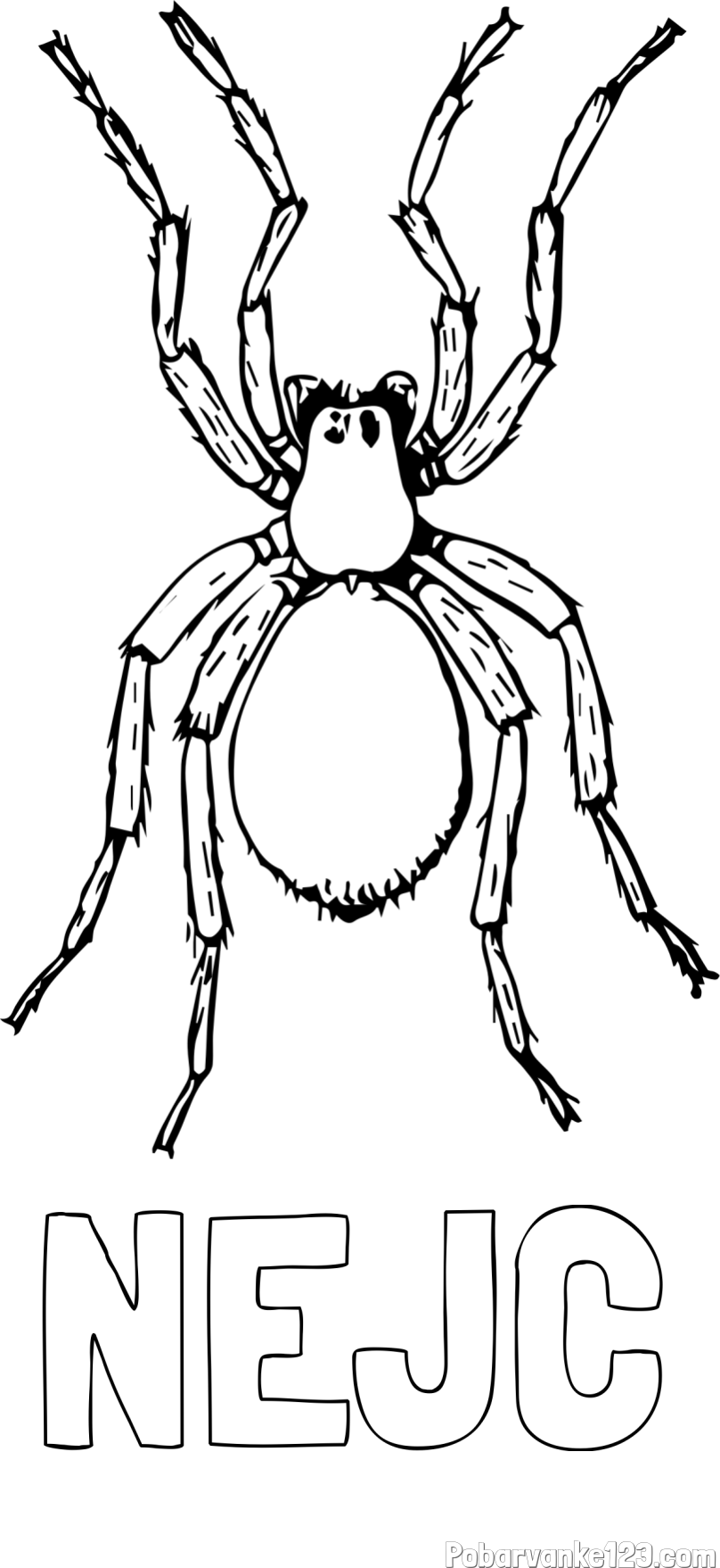 Pobarvanka imena NEJC in pobarvanka pajka - TARANTELA