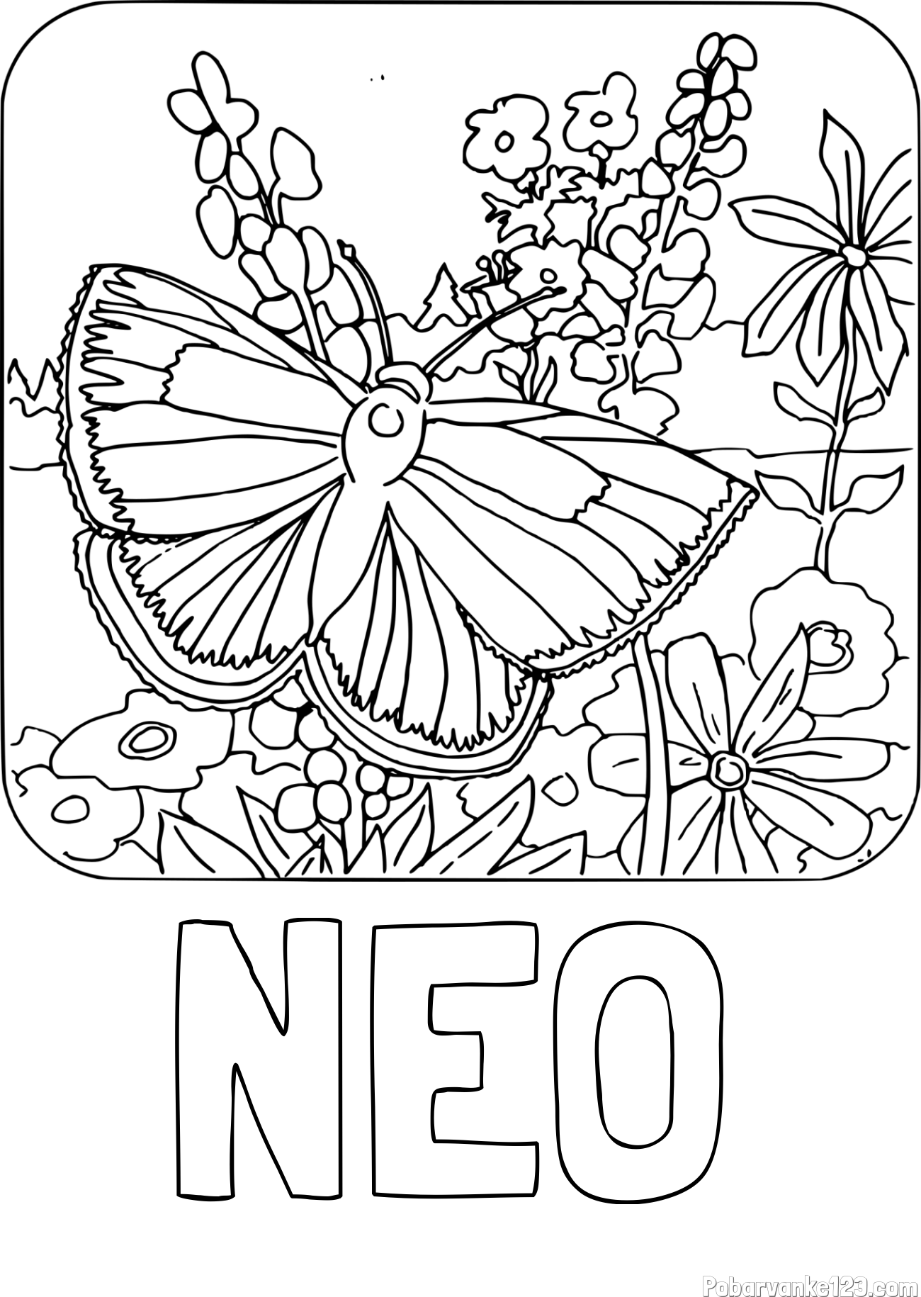Pobarvanka imena NEO in pobarvanka metulja v naravi