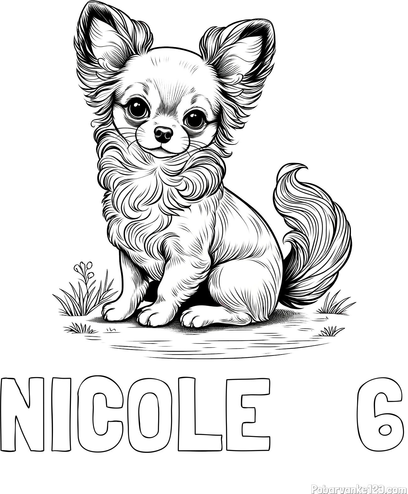 Pobarvanka imena NICOLE    6 in pobarvanka ljubke čivave