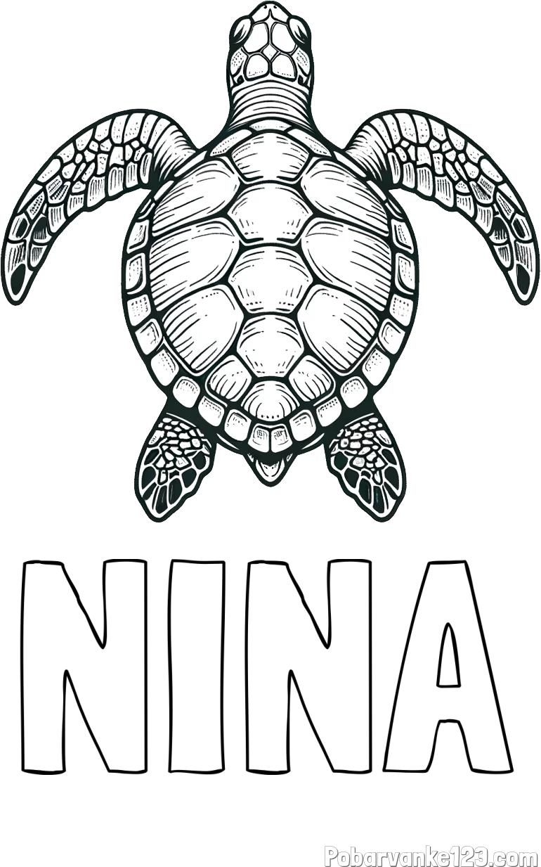 Pobarvanka imena NINA in enostavna pobarvanka želve