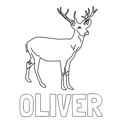 Online izdelana pobarvanka - Pobarvanka imena OLIVER in pobarvanka preprostega jelenčka