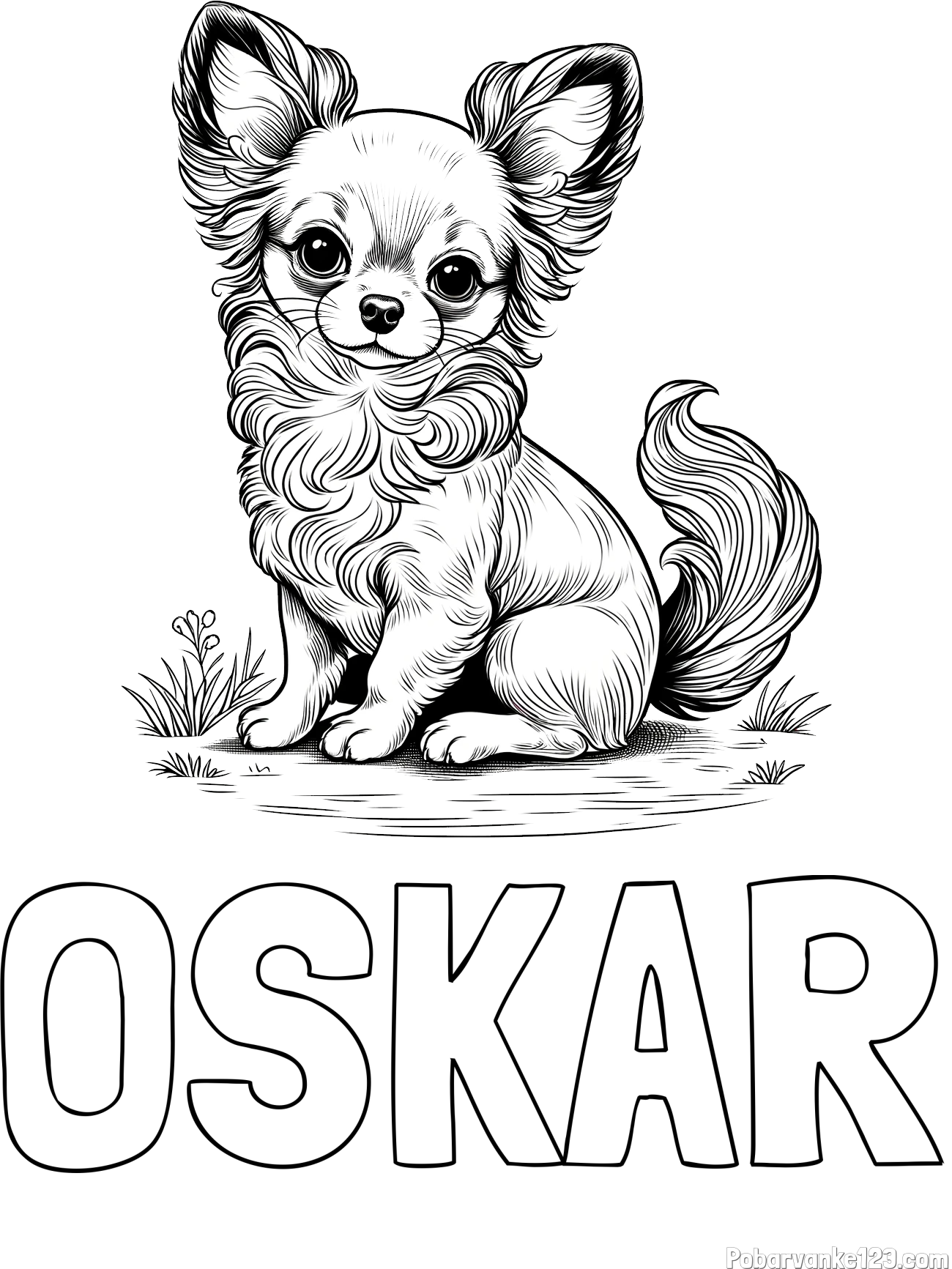 Pobarvanka imena OSKAR in pobarvanka ljubke čivave