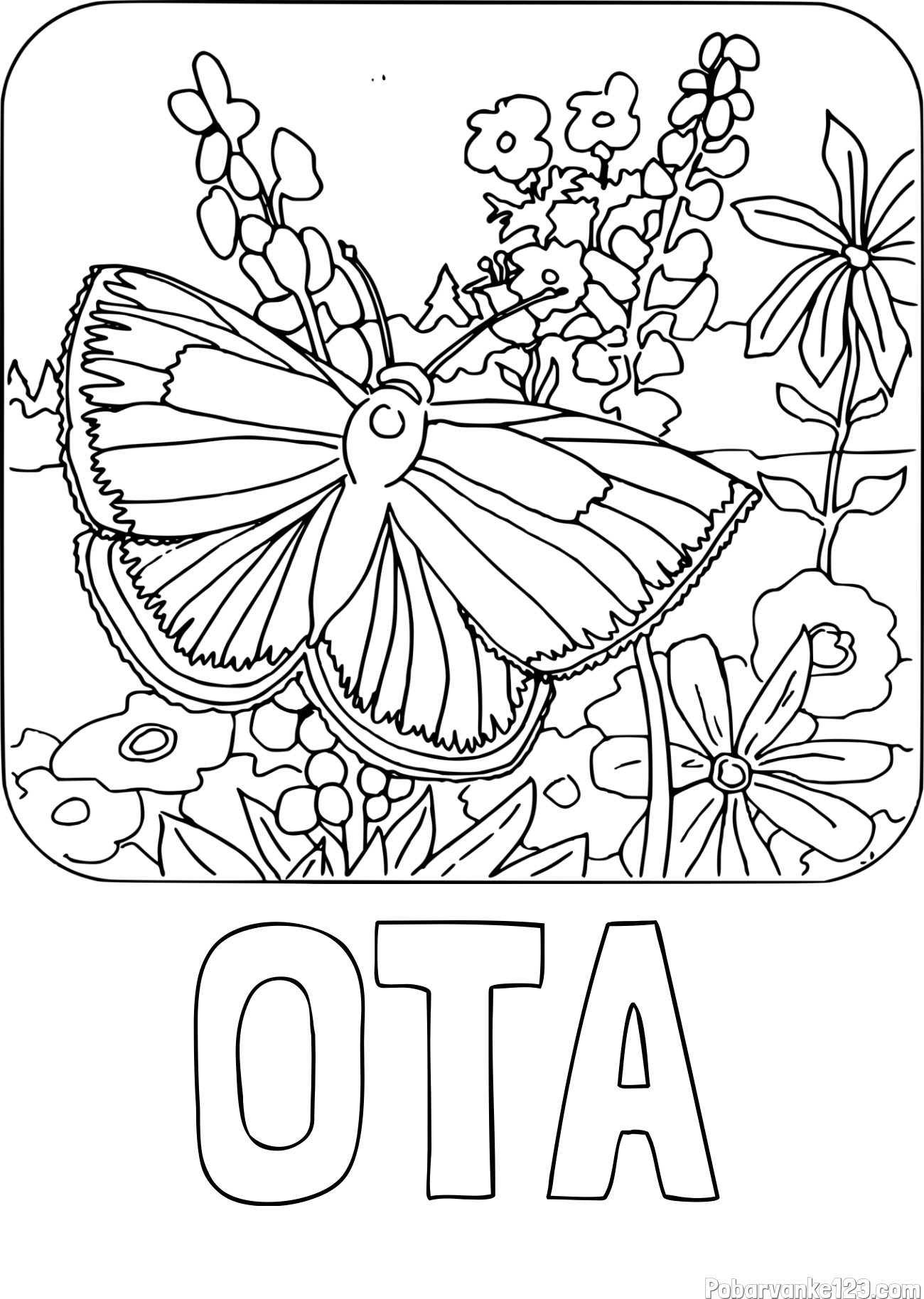Pobarvanka imena OTA in pobarvanka metulja v naravi