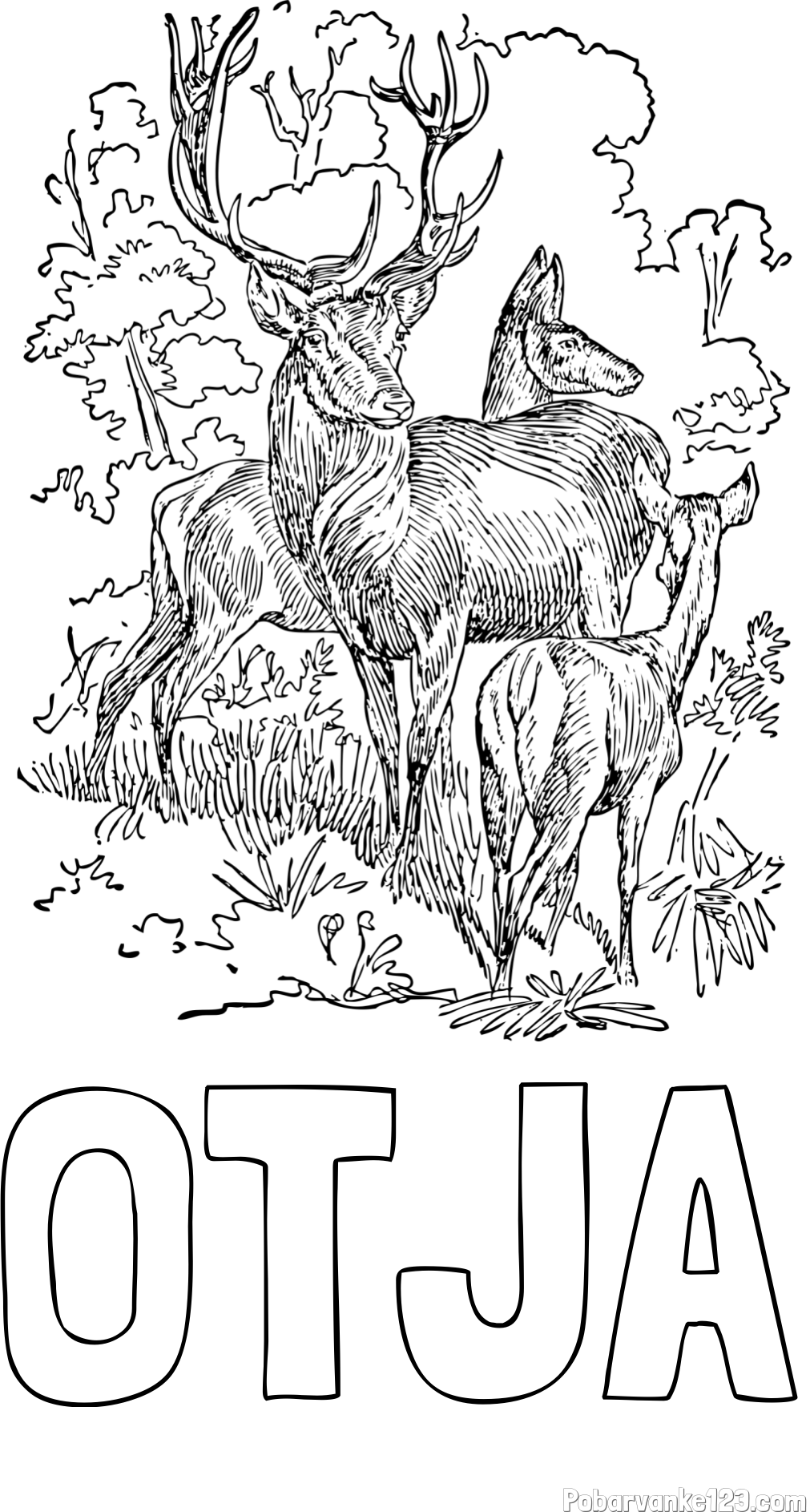 Pobarvanka imena OTJA in pobarvanka jelena, srne ter mladička