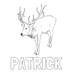 Online izdelana pobarvanka - Pobarvanka imena PATRICK in pobarvanka velikega jelena