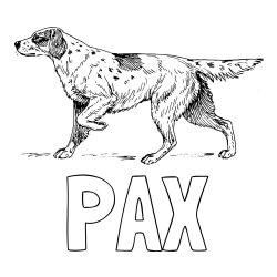 Online izdelana pobarvanka - Pobarvanka imena PAX in pobarvanka lovskega psa na lovu