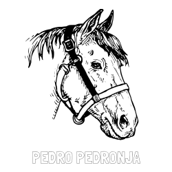 Online izdelana pobarvanka - Pobarvanka imena PEDRO PEDRONJA in konjska glava