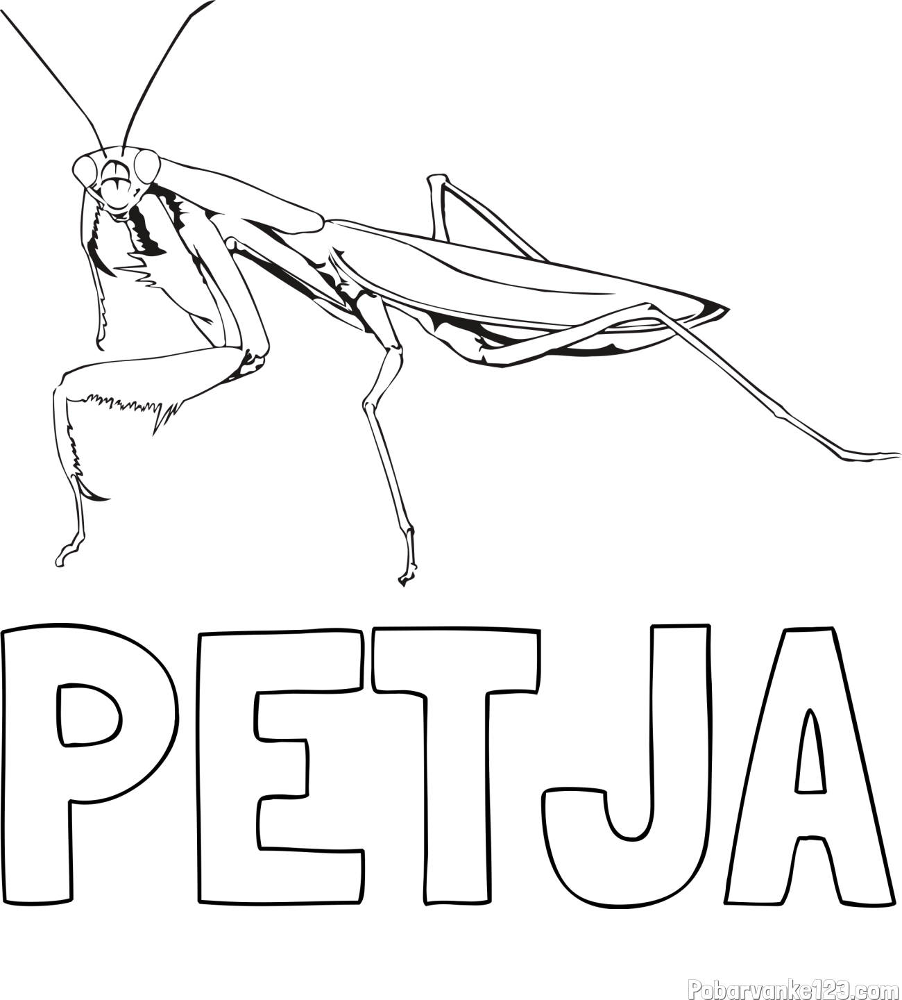 Pobarvanka imena PETJA in pobarvanka bogomolke