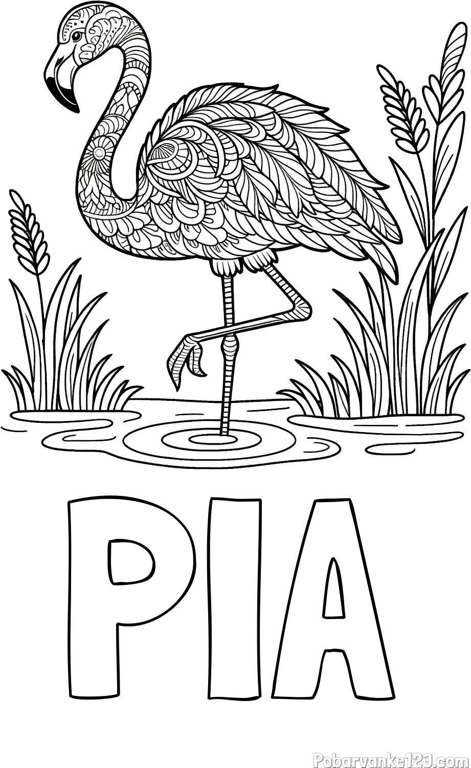 Pobarvanka imena PIA in pobarvanka flaminga z abstraktnimi vzorci