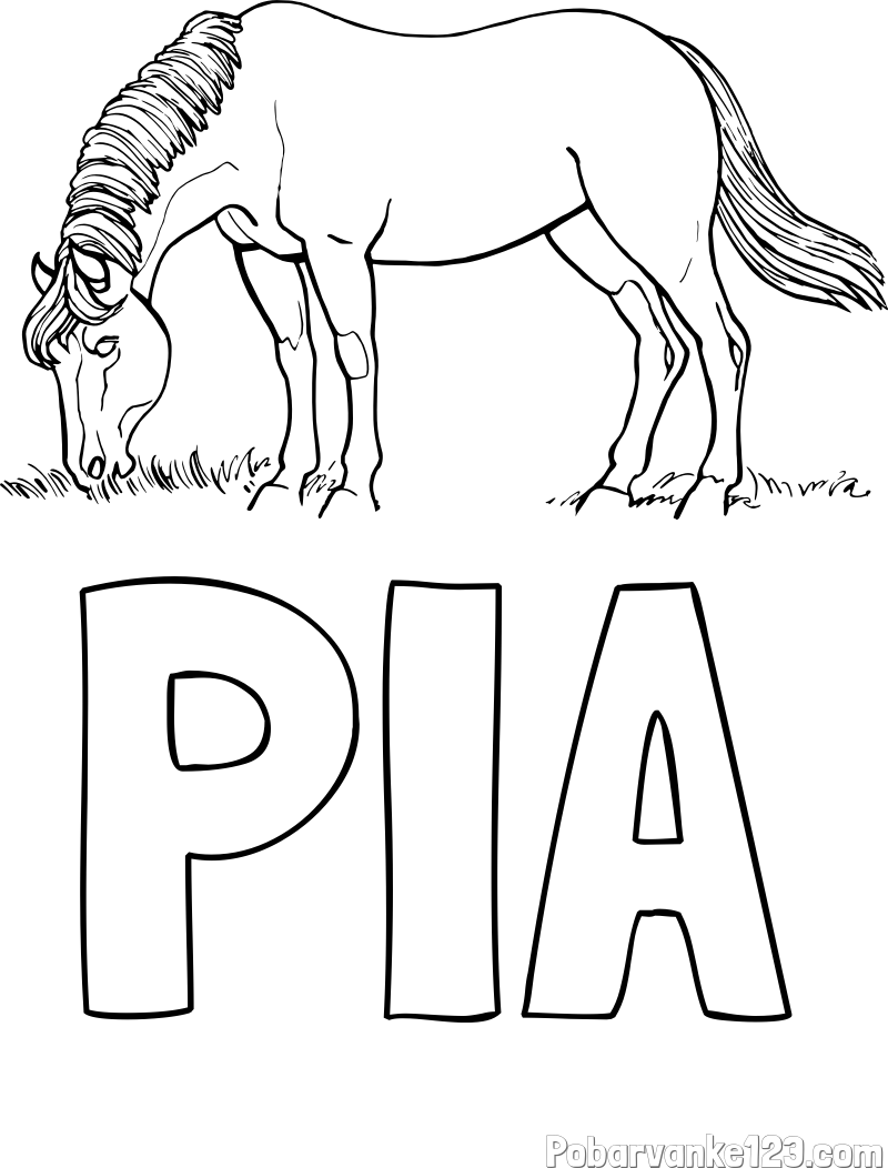 Pobarvanka imena PIA in pobarvanka konja med pašo