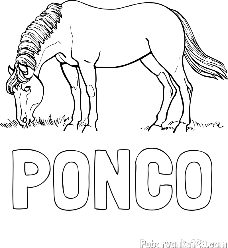 Pobarvanka imena PONČO in pobarvanka konja med pašo